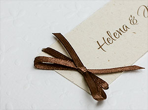 Detail 3 – vergrößerte Abbildung Eine Detailaufnahme der Schleife und des Anhängers.